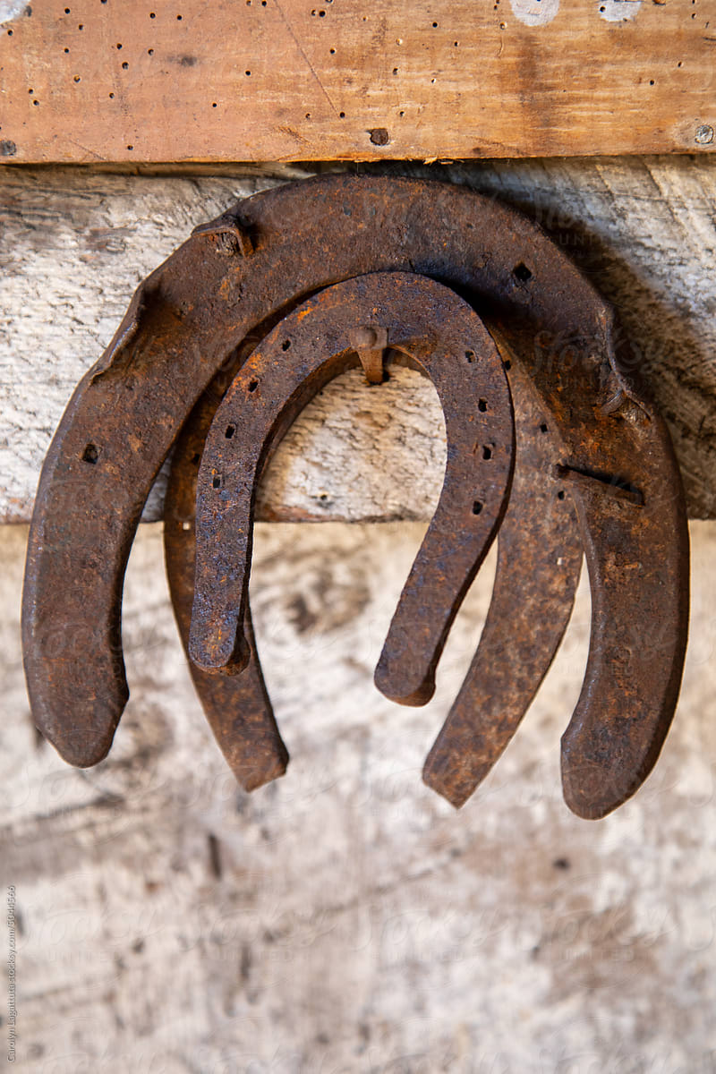 Rusty horseshoes