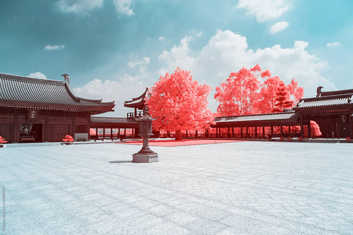 Infrared photography of  traditional Chinese building roof and plants