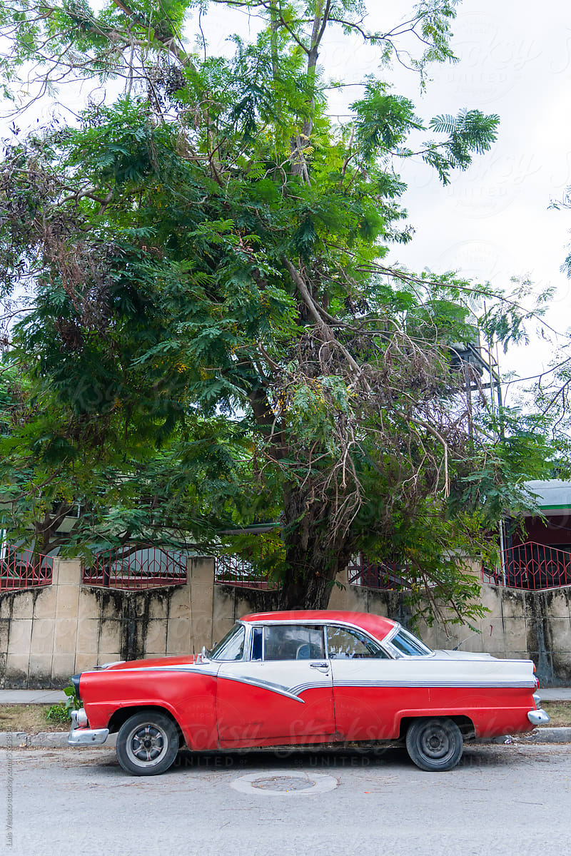 Vintage Red Car Parked Under A Tree