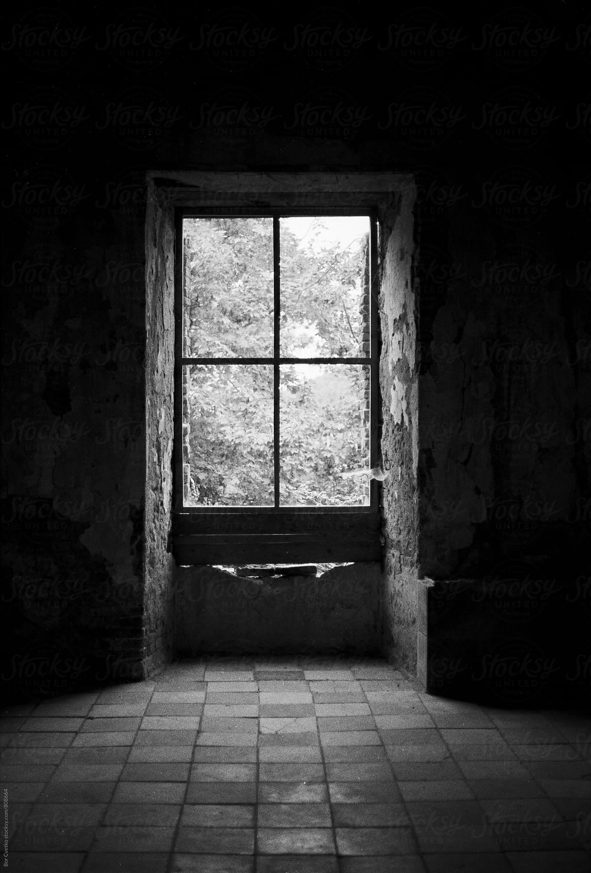 Window in old abandoned castle