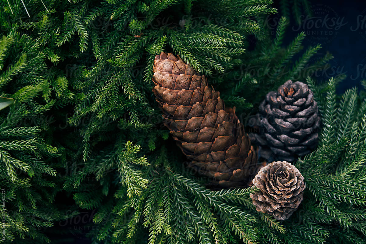 Christmas wreath pine cones