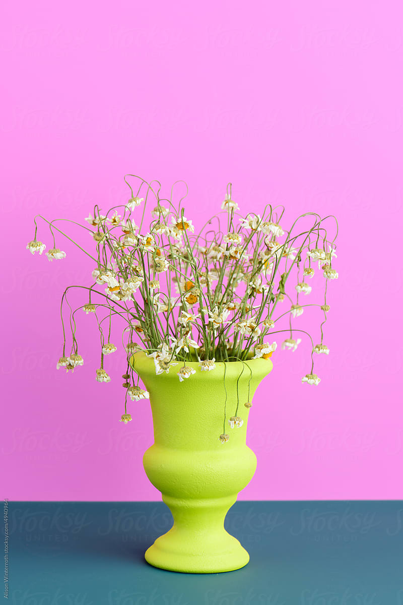 Dead flower arrangement