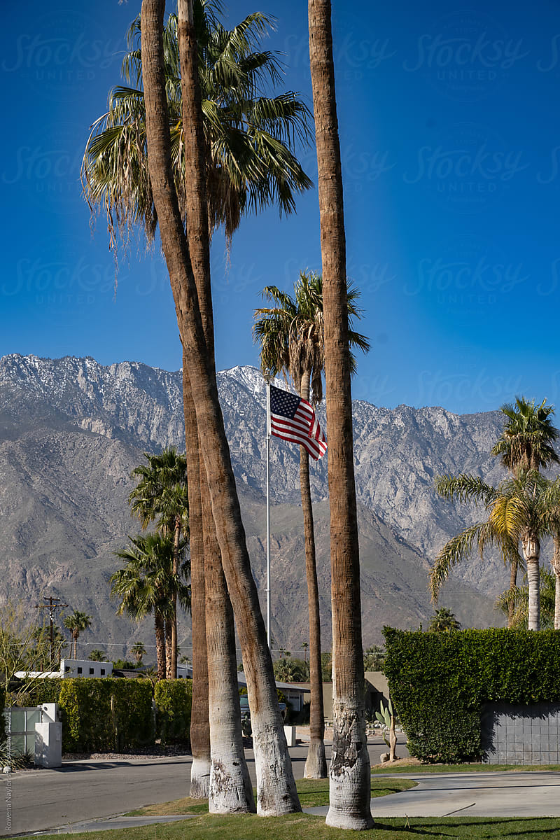 Palm Springs with American Flag
