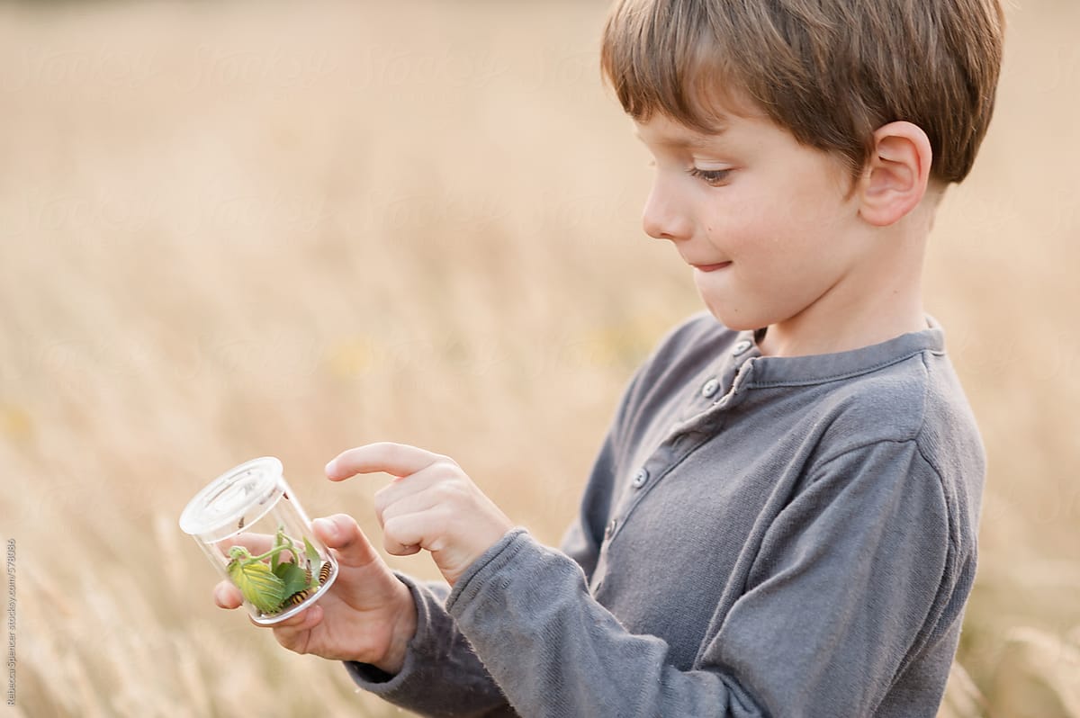 Boy taps jar of caterpillars to make them wiggle