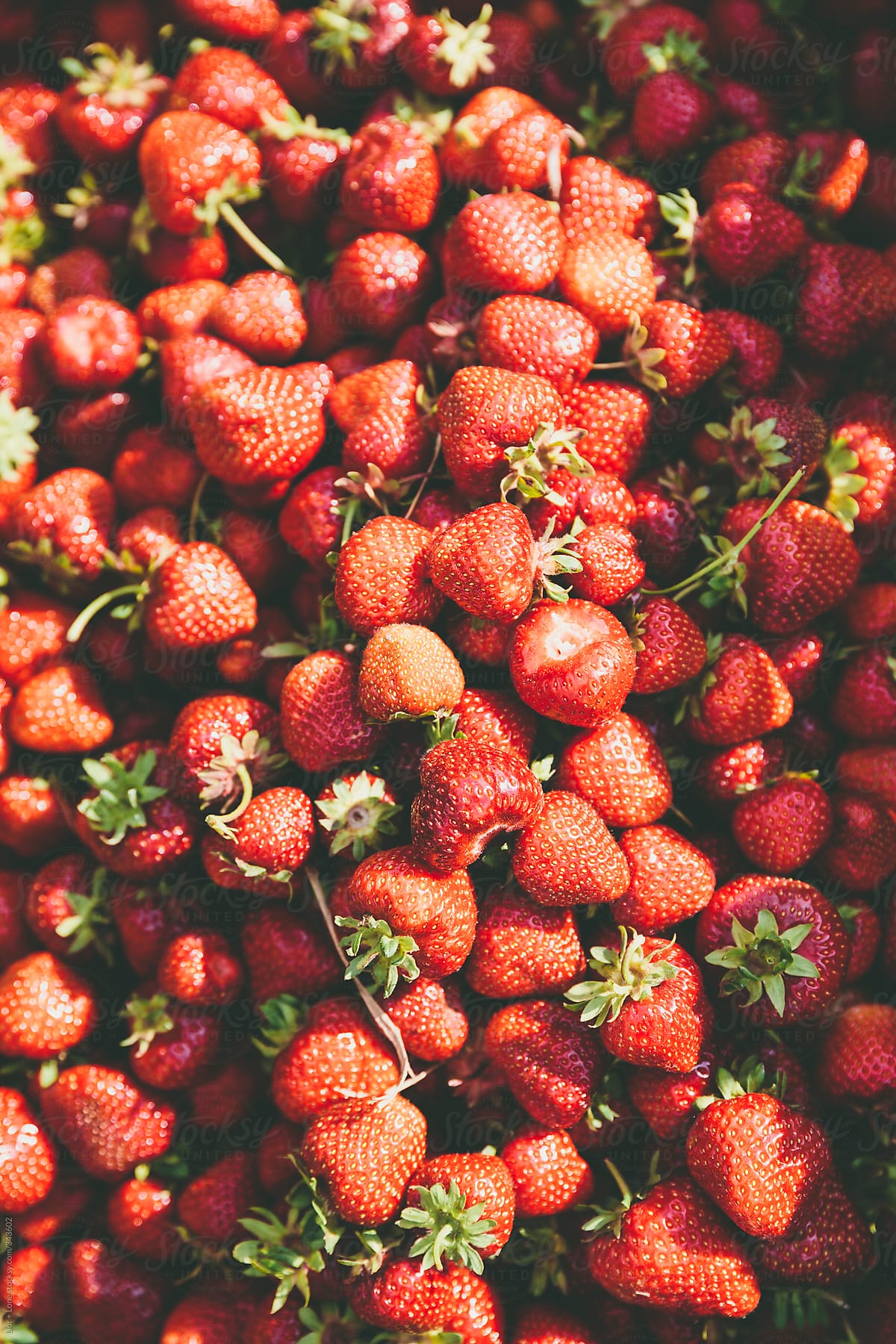 An abundant pile of fresh strawberries