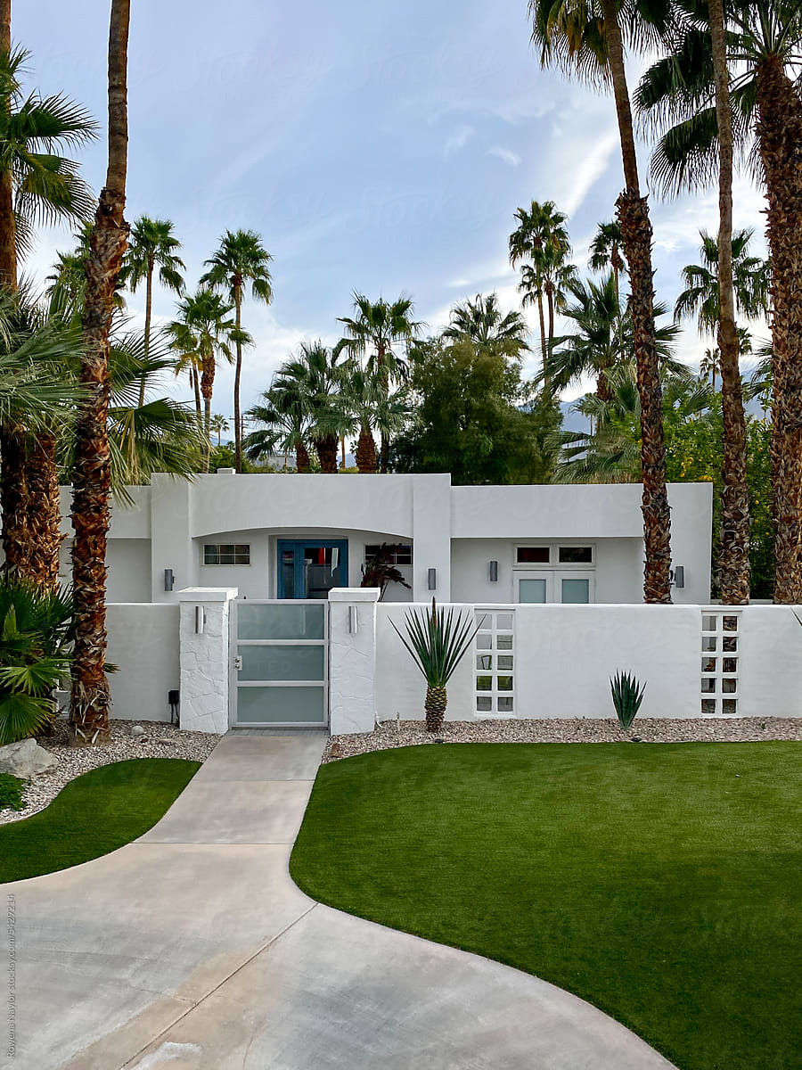 Palm Springs Home surrounded by tall Palms
