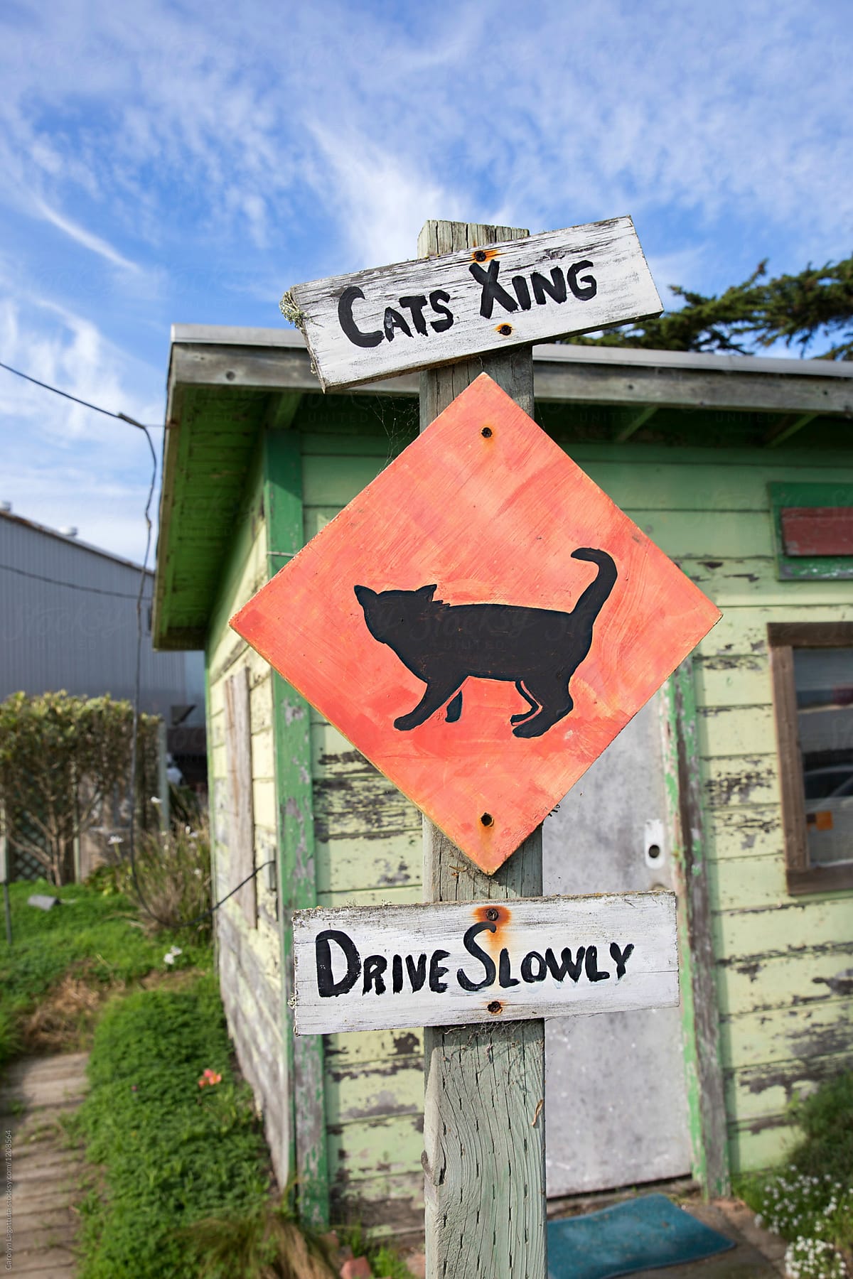 Sign announcing cat crossing