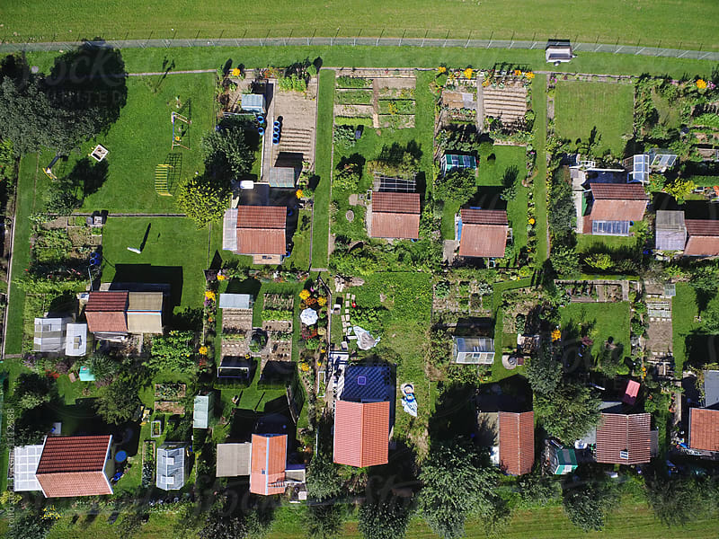 Aerial view of garden plots in sunlight