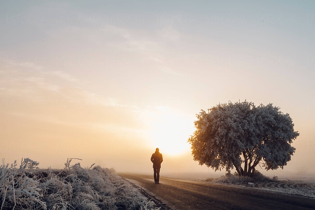 A Lonely Man Walks Down A Road Toward A Tree In A Misty Twilight By