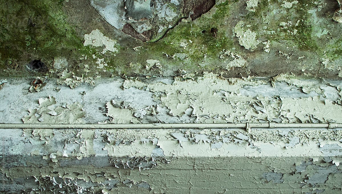 ceiling with peeling paint and green growth