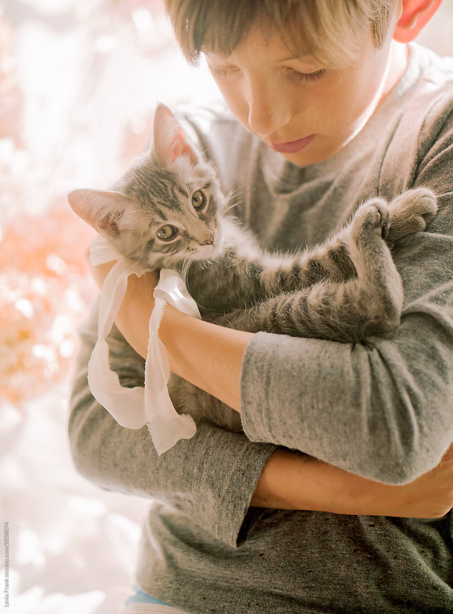 young boy holds tiny kitten with backlight