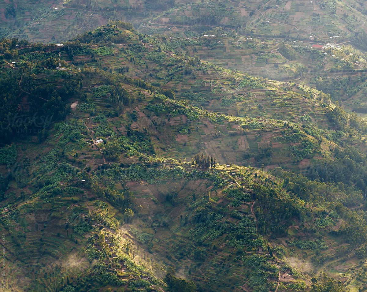 Virunga Valley - Rwanda