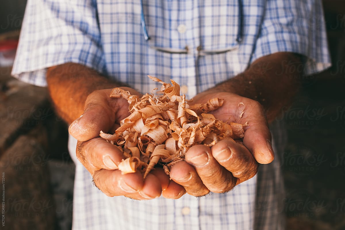 Close up of a Carpenter Hands Holding a Bunch of Wood Shavings