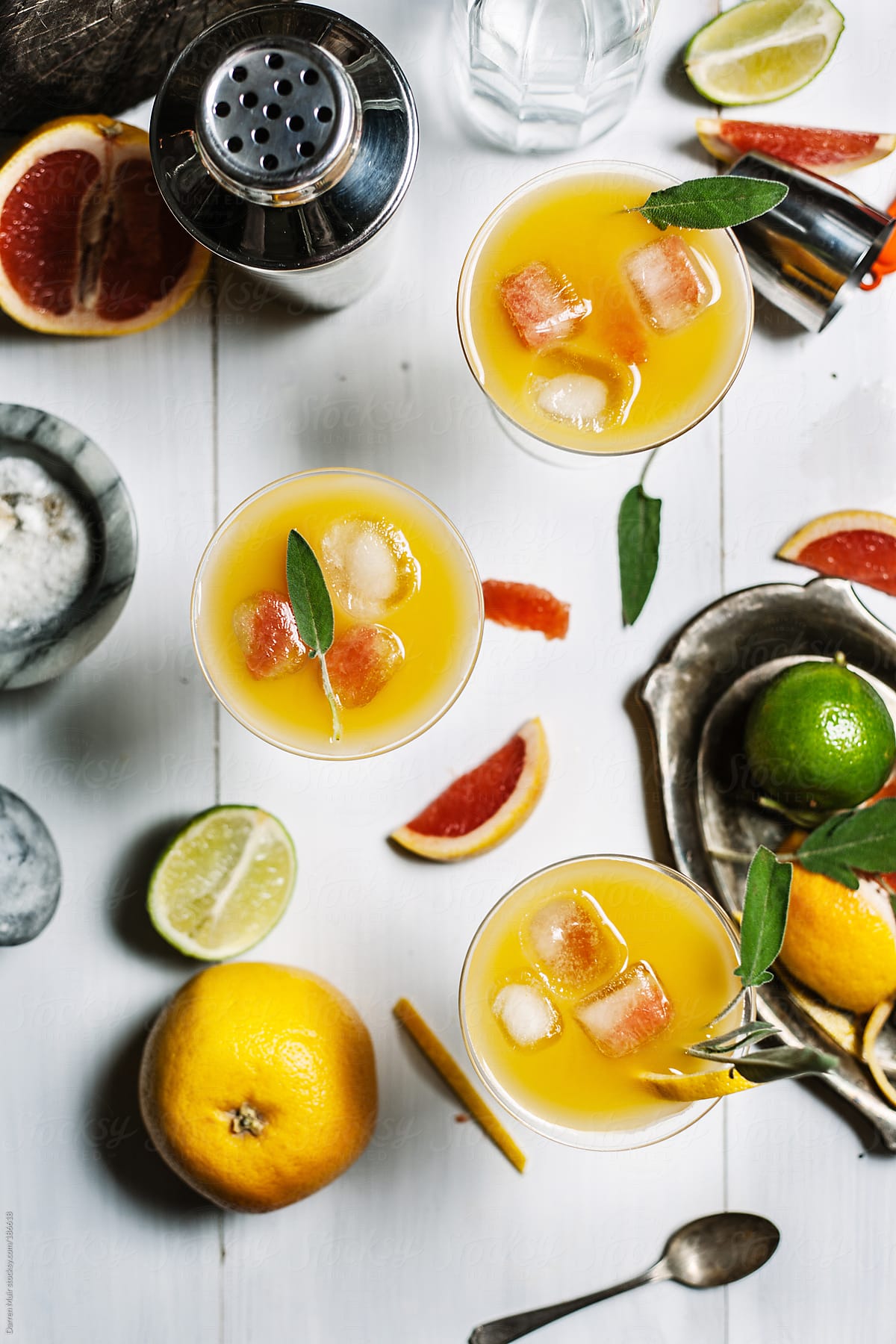 Citrus Cocktails.