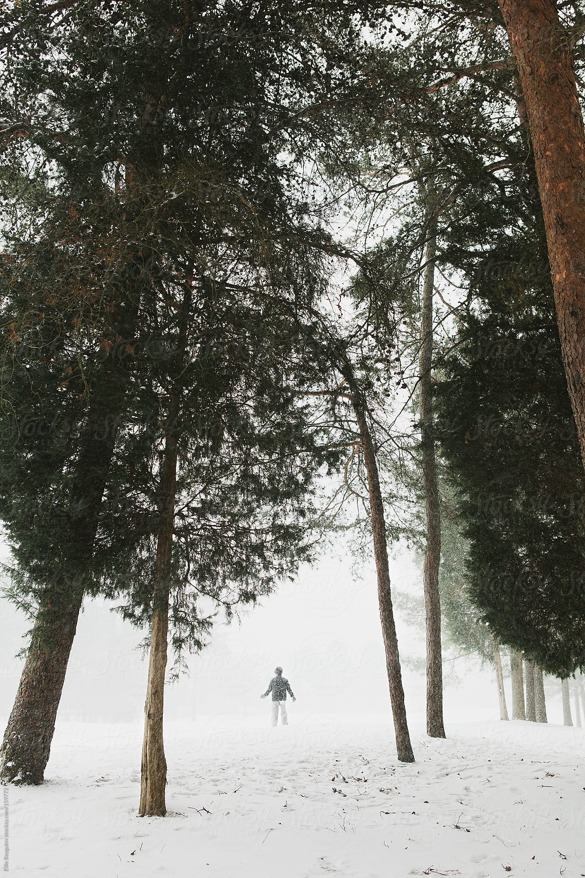 Tiny figure in snowy forest