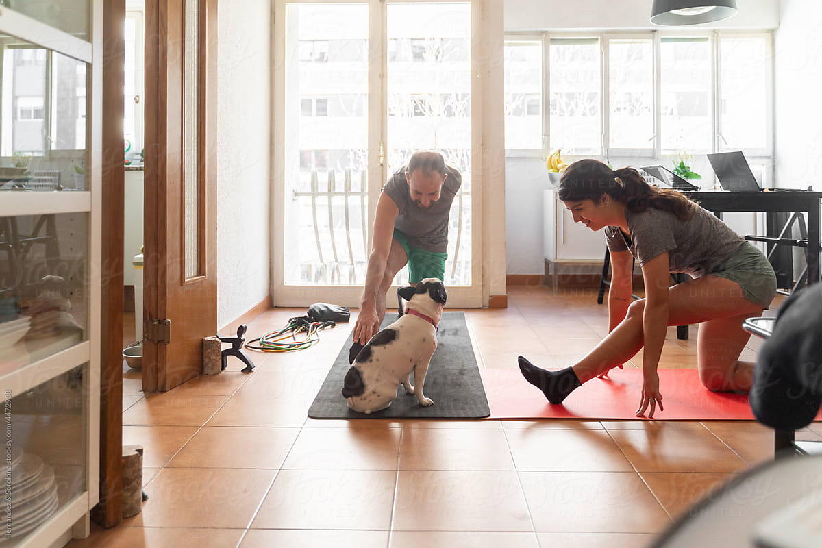 Couple With A Dog Doing Yoga At Home