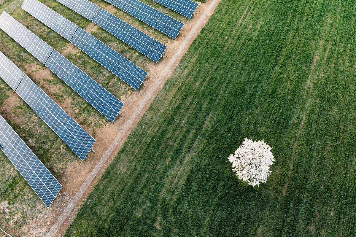 Renewable energy: Solar panel farm plant drone shot