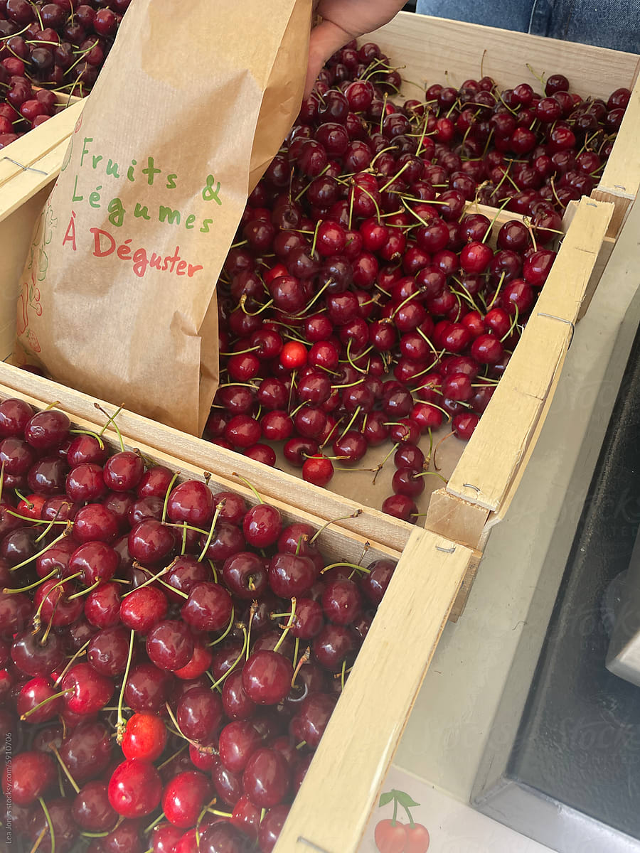 UGC of fresh cherries at the market in France