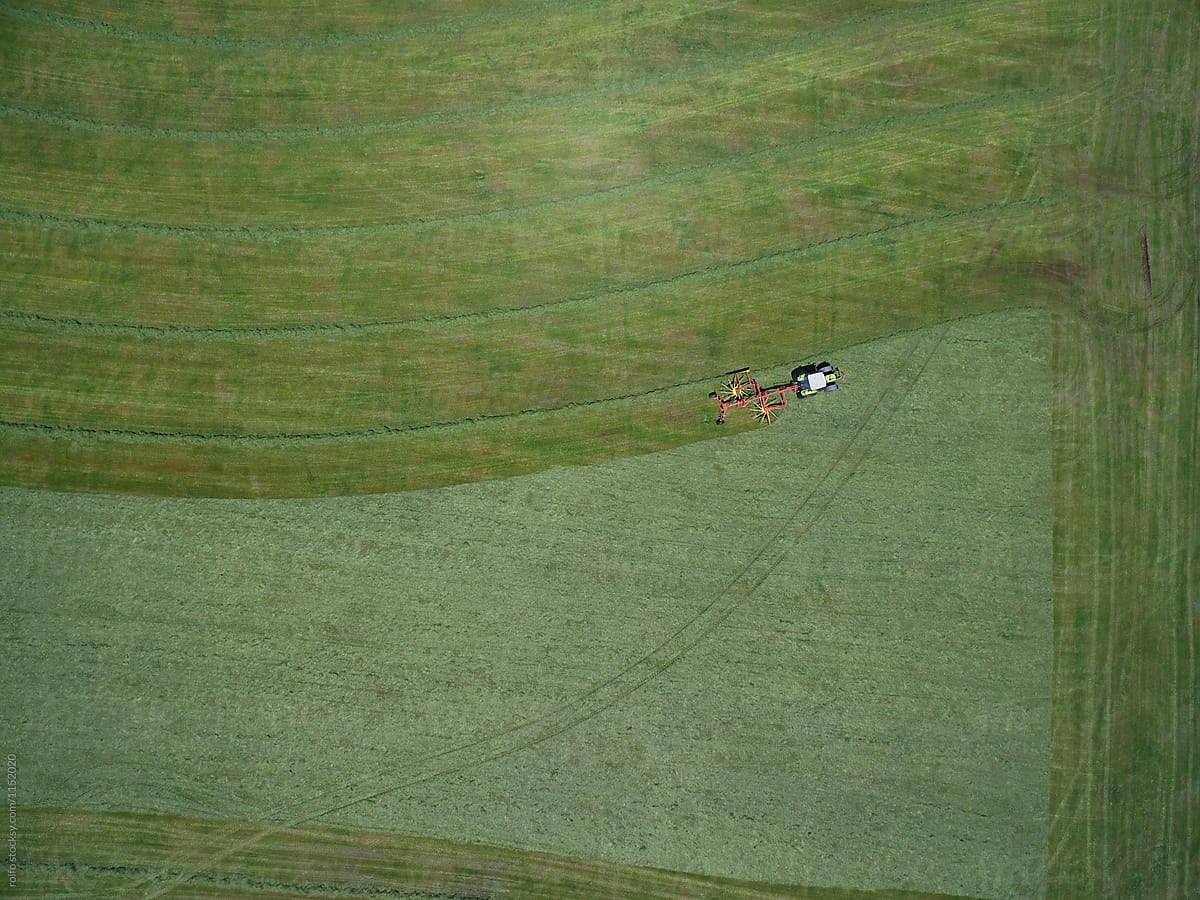 Machine cutting grass on big field