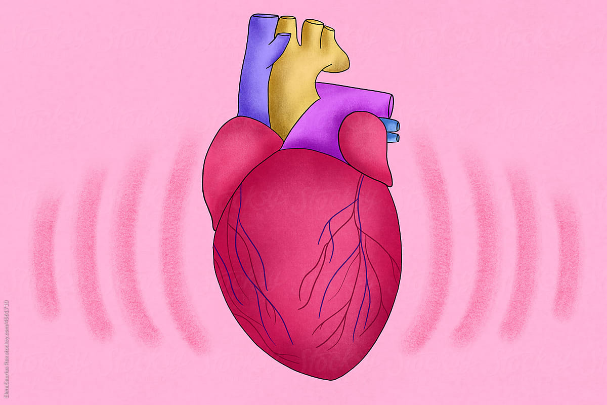 Human beating heart illustration