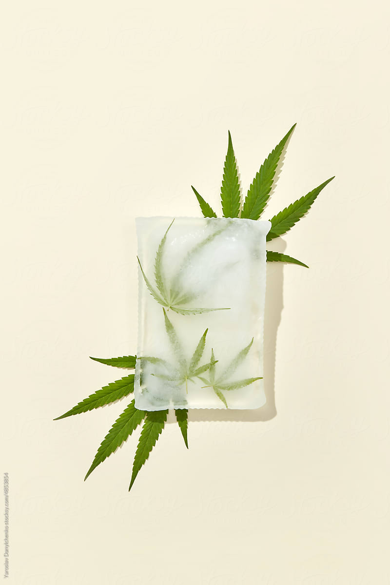 Ice and cannabis leaves on beige background.