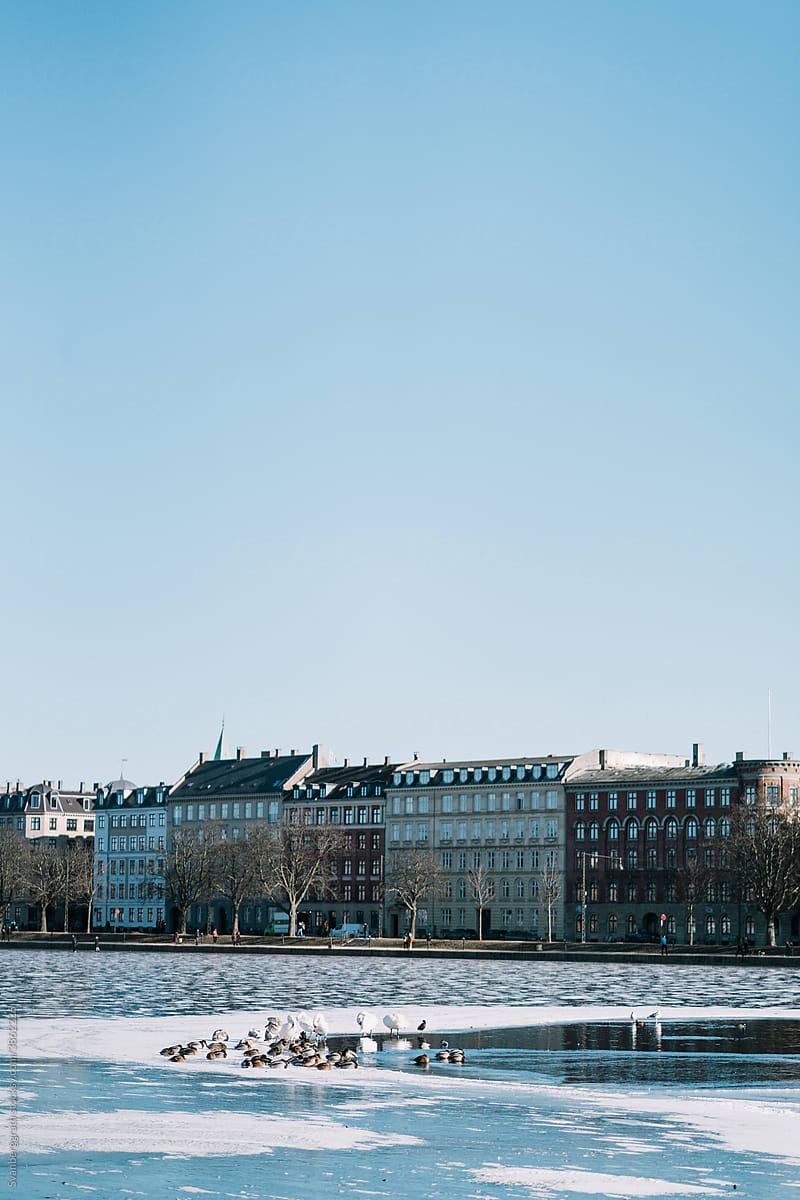 Frozen Views of Copenhagen