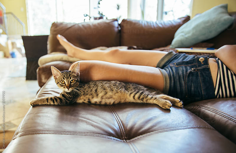 Tabby kitten stretched out on the couch next to a teenage girl