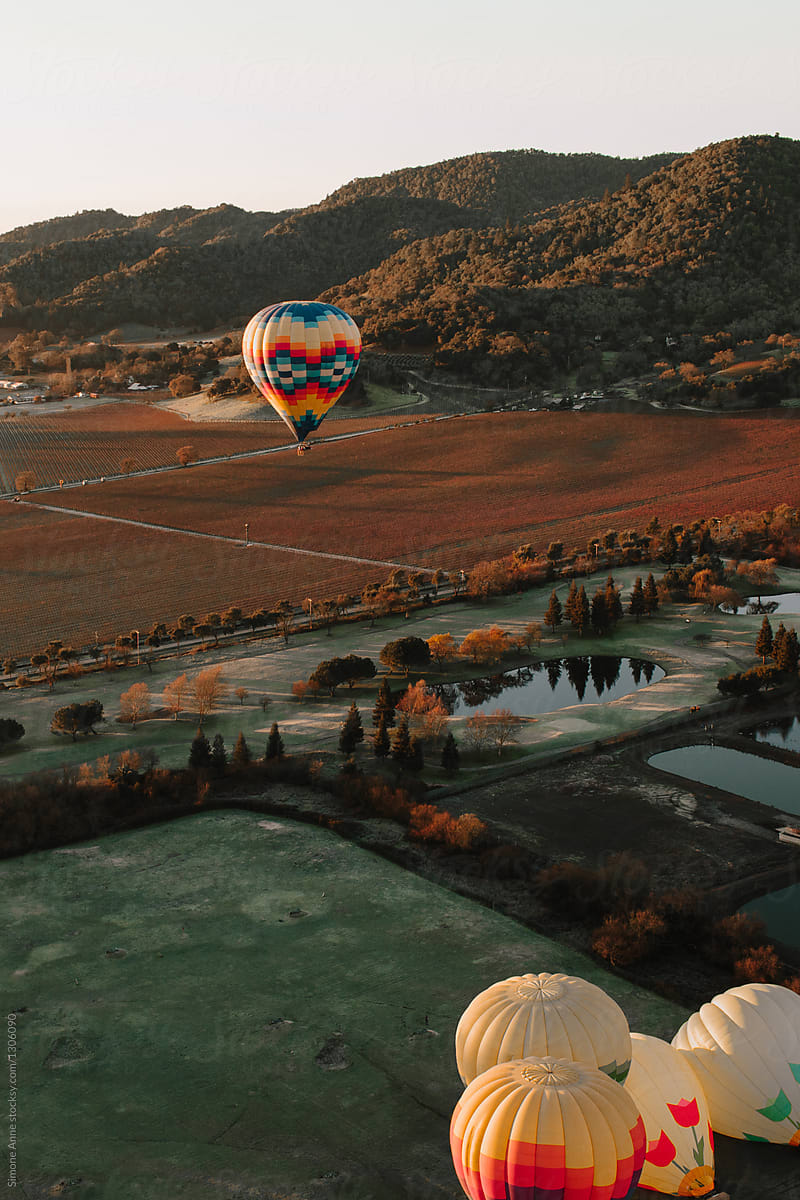 Hot air balloons float over fields and vineyards