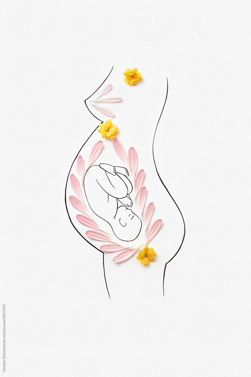 Sketch of pregnant woman with baby in uterus decorated with flowers