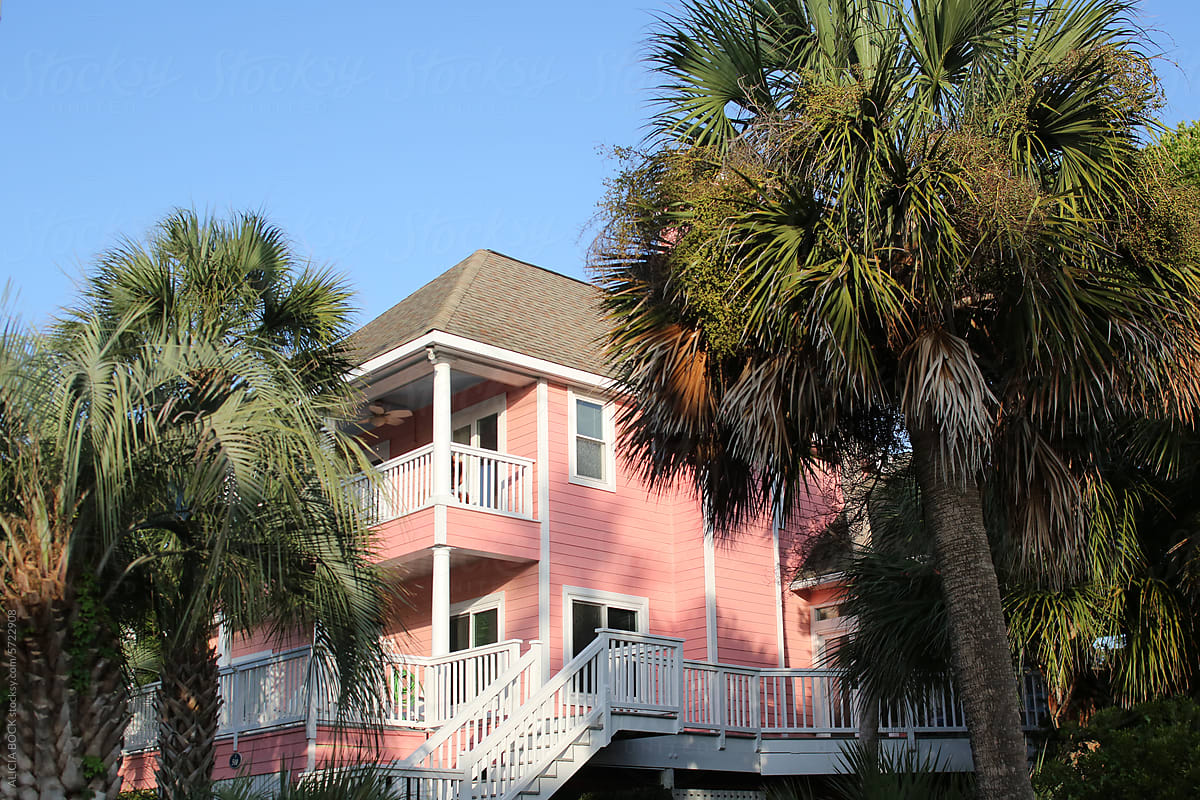 Pink House And Palm Trees