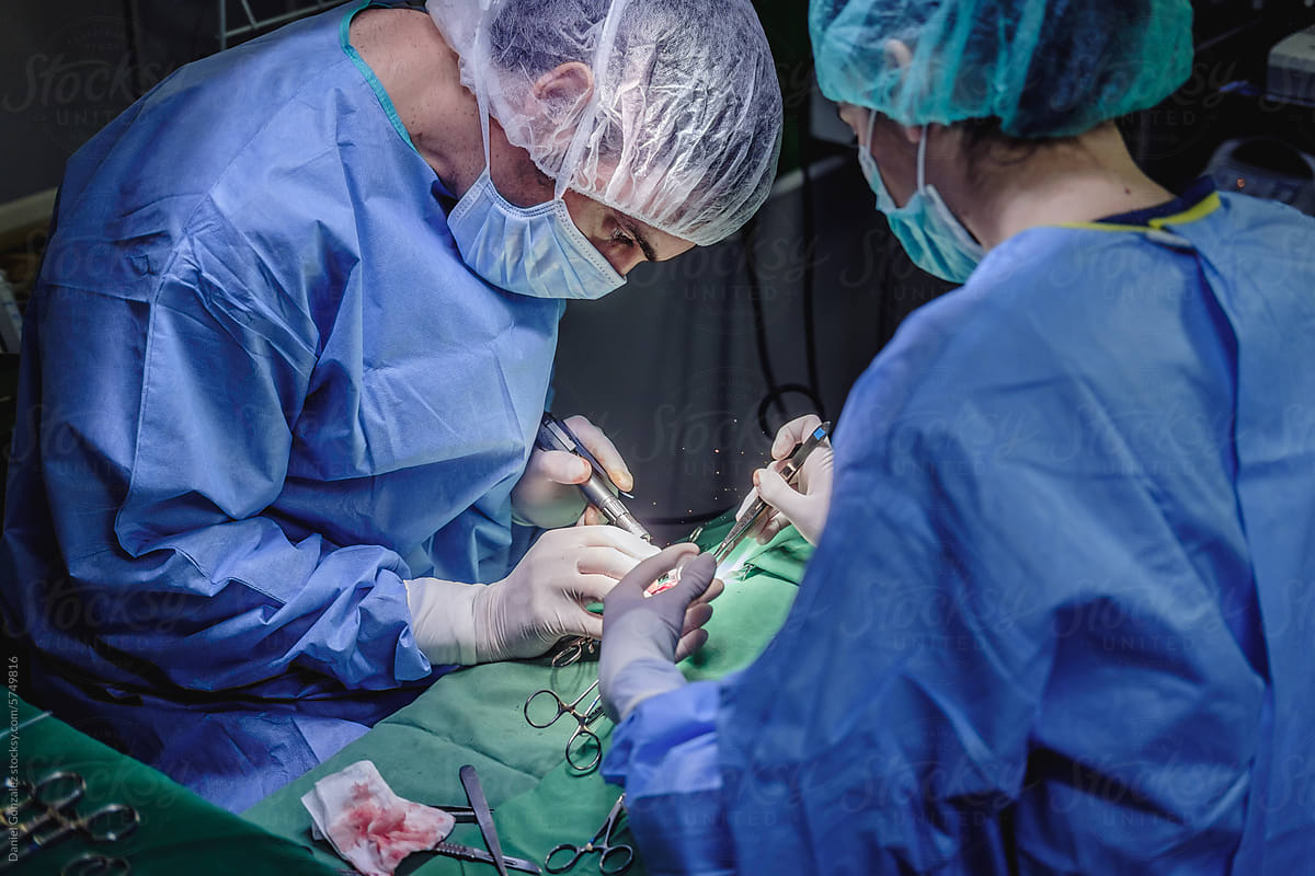 Team of veterinarians performing surgery on dog