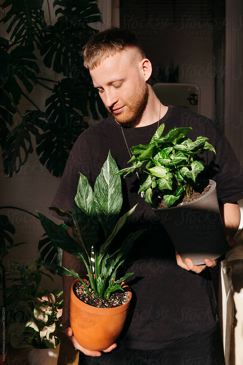 A man is holding a pot with a houseplant.
