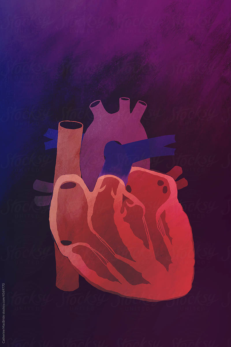 The Illustrated Heart