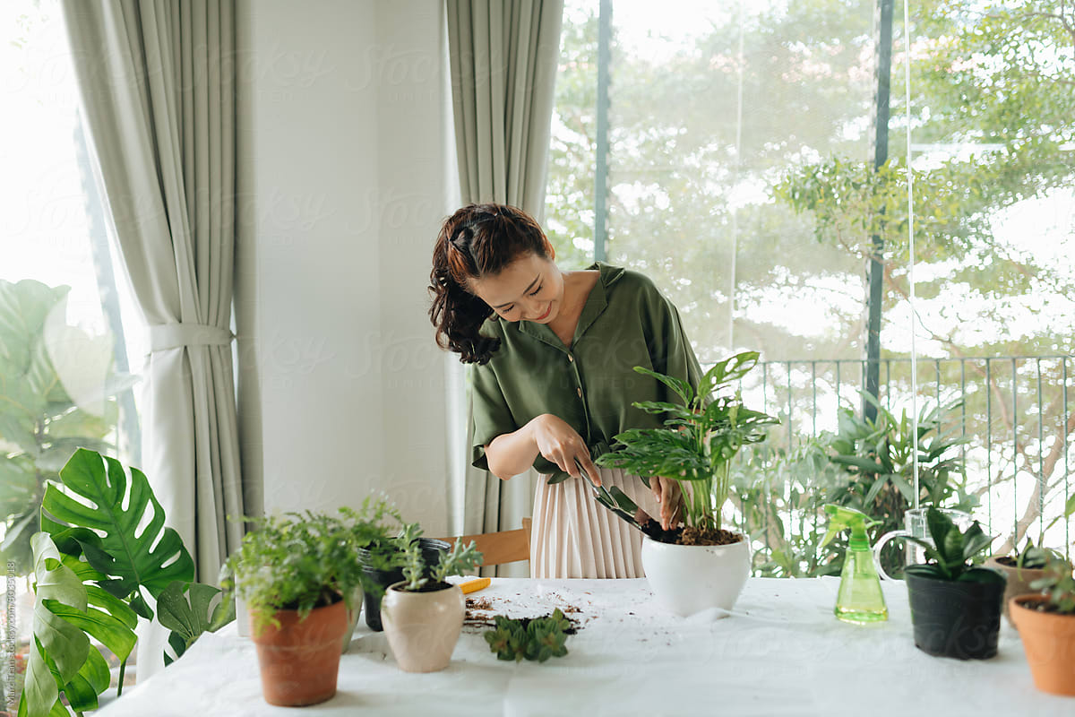 Young beautiful woman caring for potted indoor plants. Engaging hobby