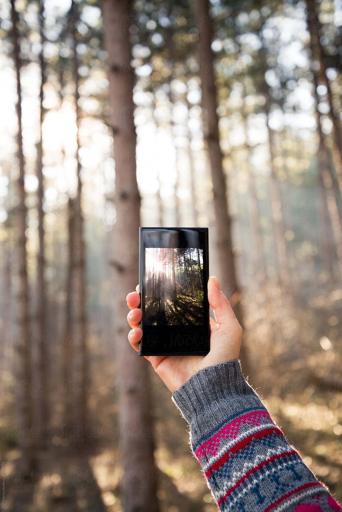 Person taking photo of forest