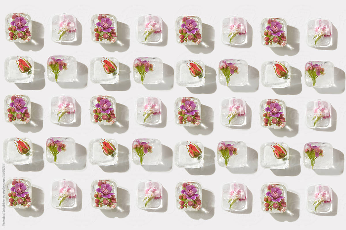Pattern of ice cubes with different flowers