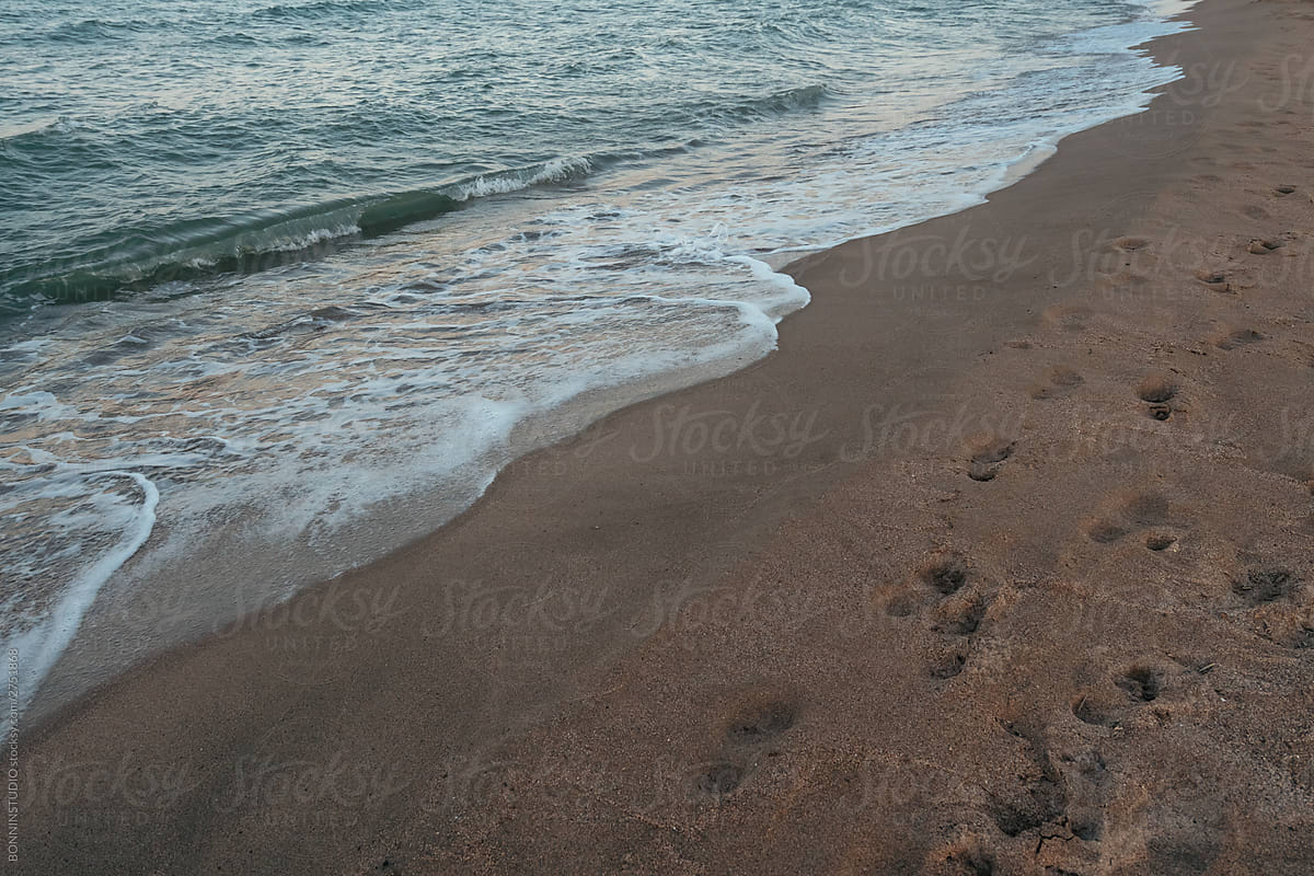 Foamy sea rolling on sandy shore