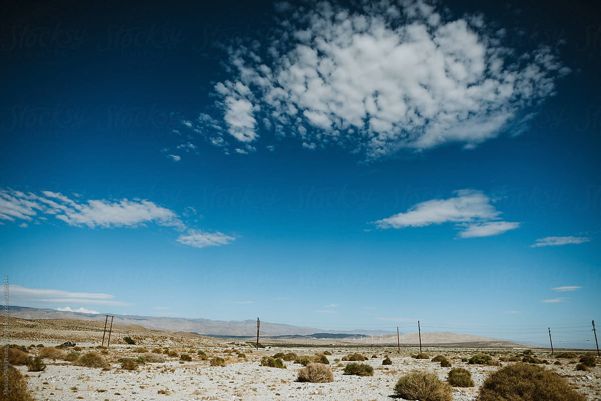 Desolate Palm Springs Highway
