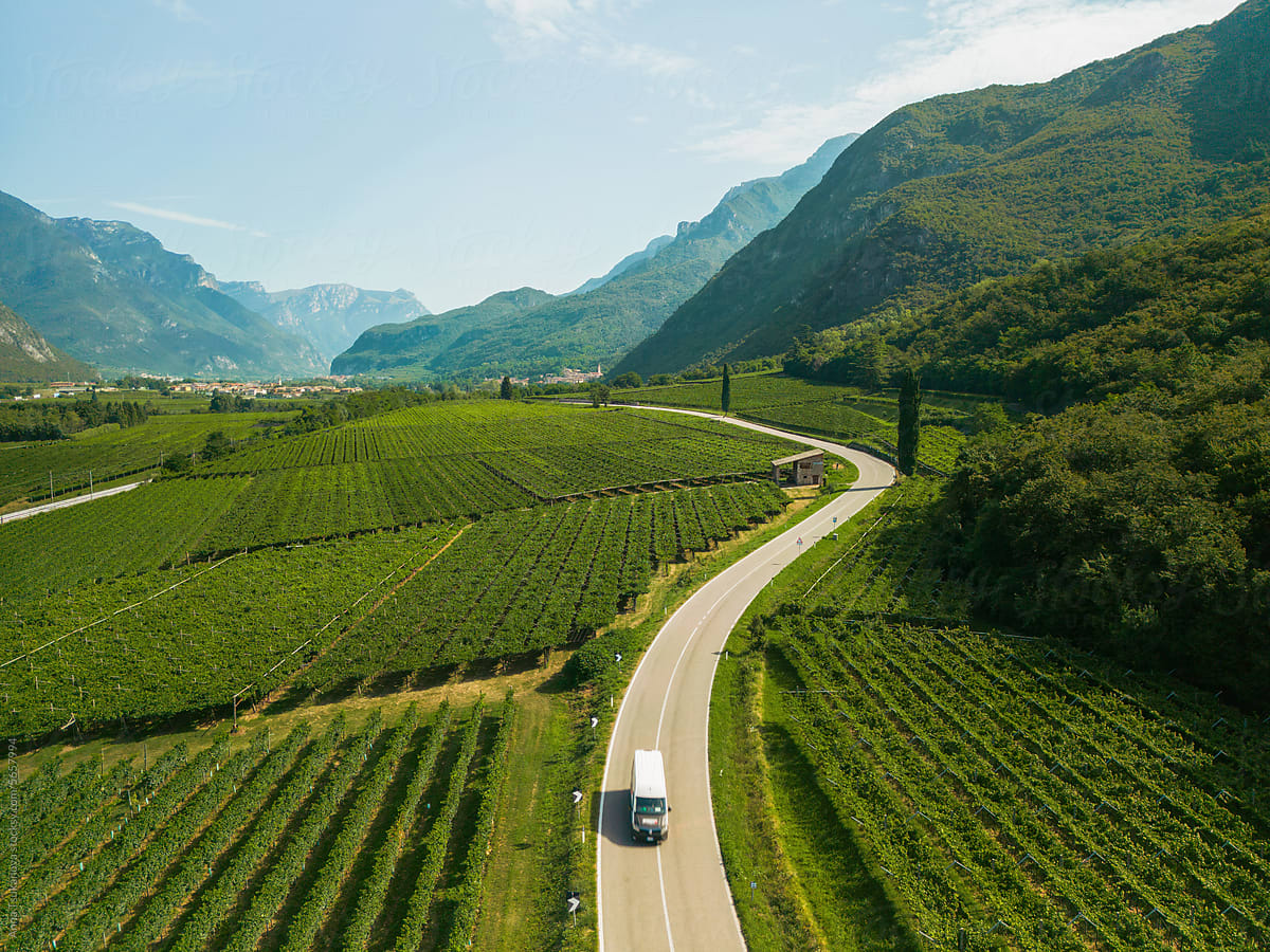 Aerial view of truck on the road  through the vineyard in Italy