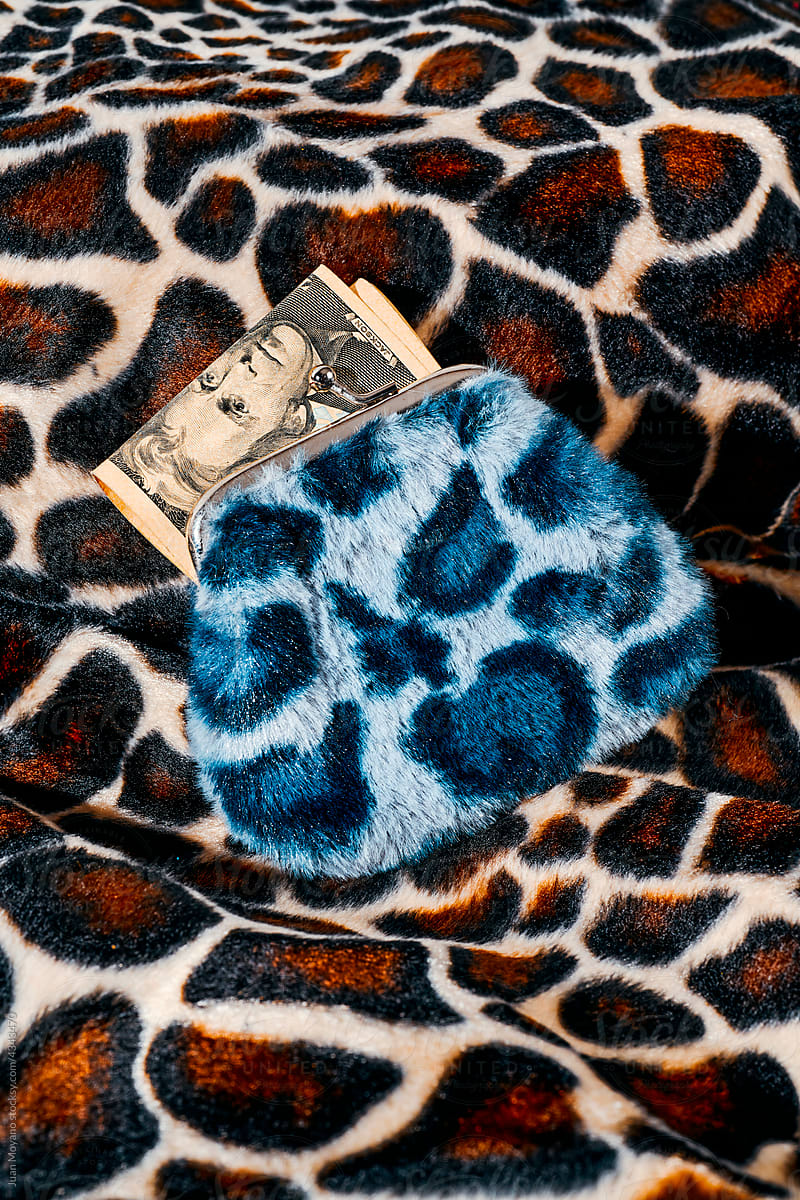 dollar notes in a fake fur wallet full