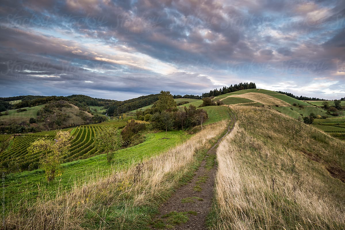 Path over Rolling Hills