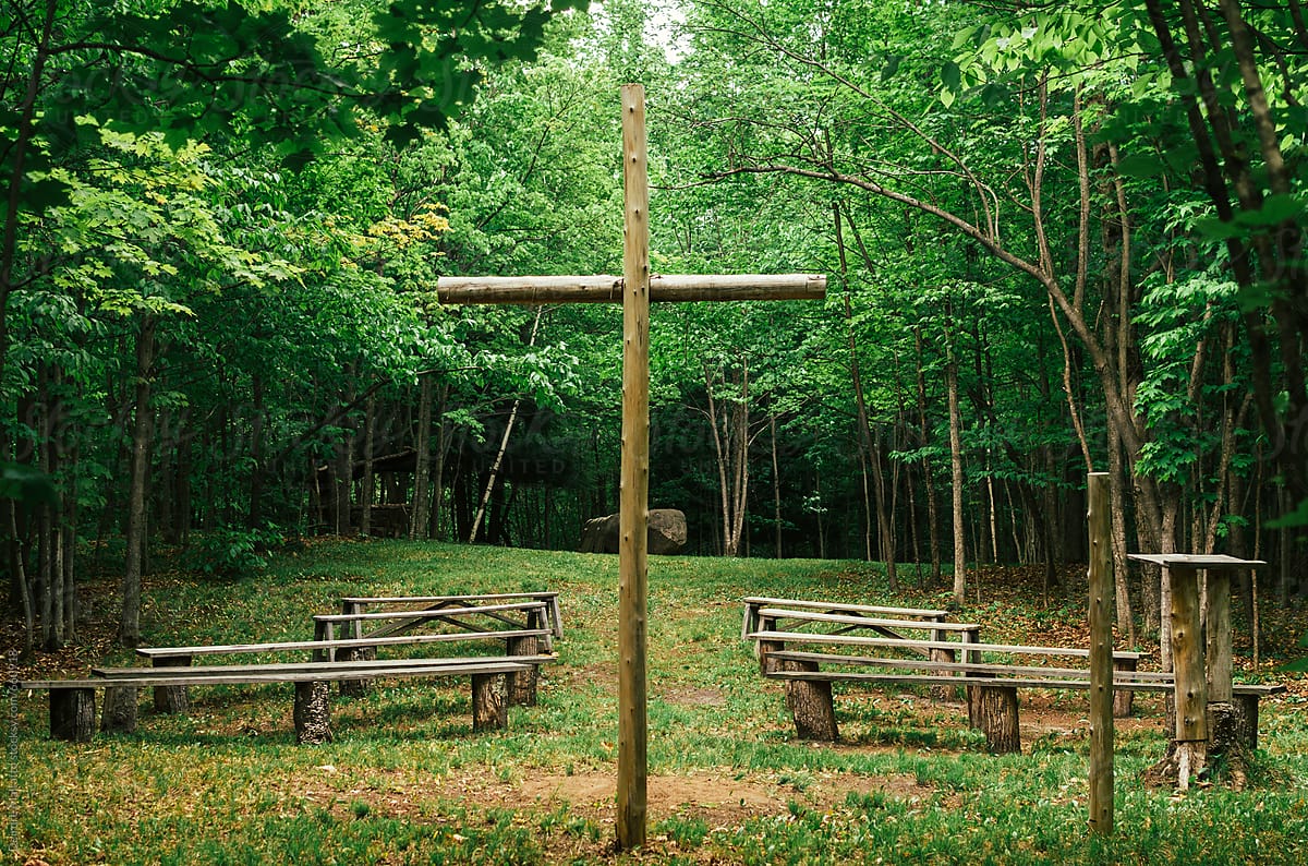 forest clearing with a wooden cross