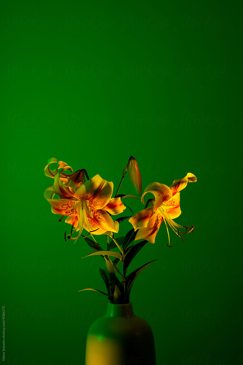 Tender spotted lilies in vase deep green