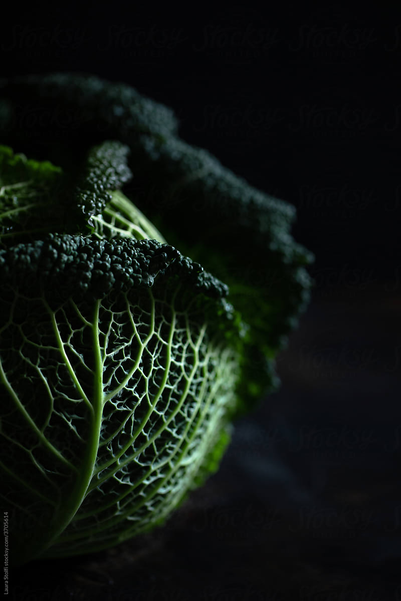 Close up of Savoy Cabbage on dark surface