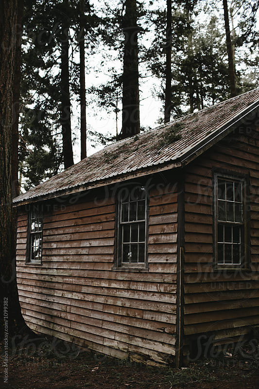 brown cabin in a dark forest woods