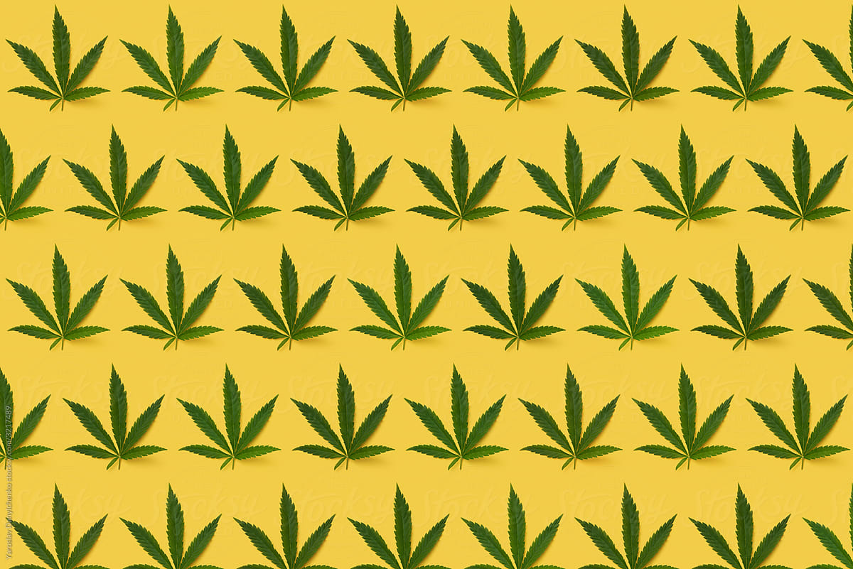 Cannabis natural leaf pattern.