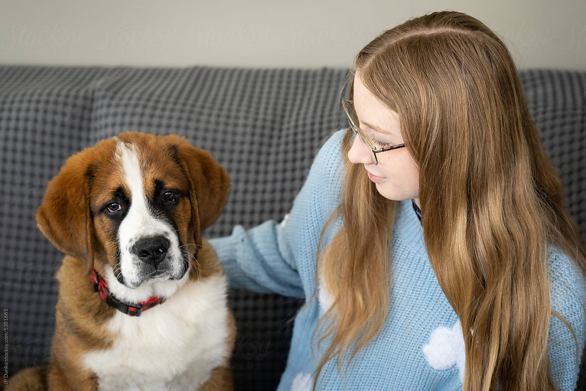 Portrait of Large Mixed Breed Puppy with Teen Girl