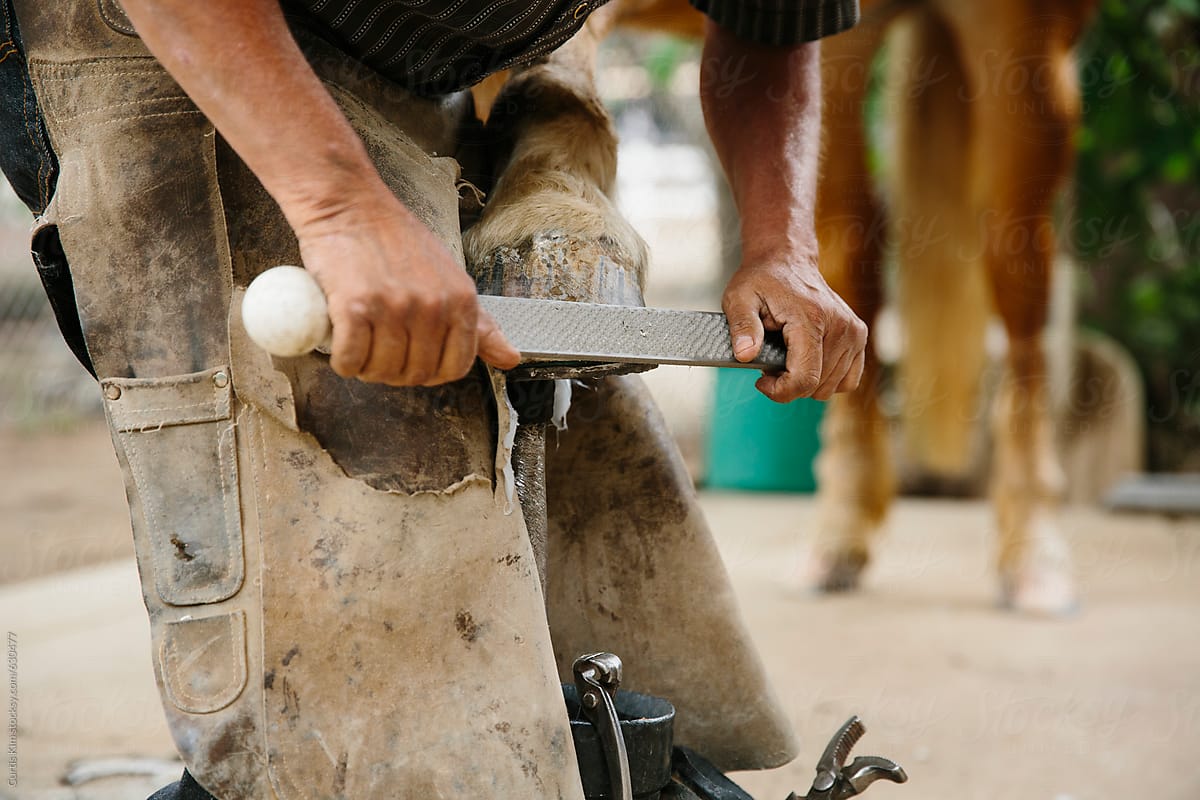 A farrier filing a horse nail