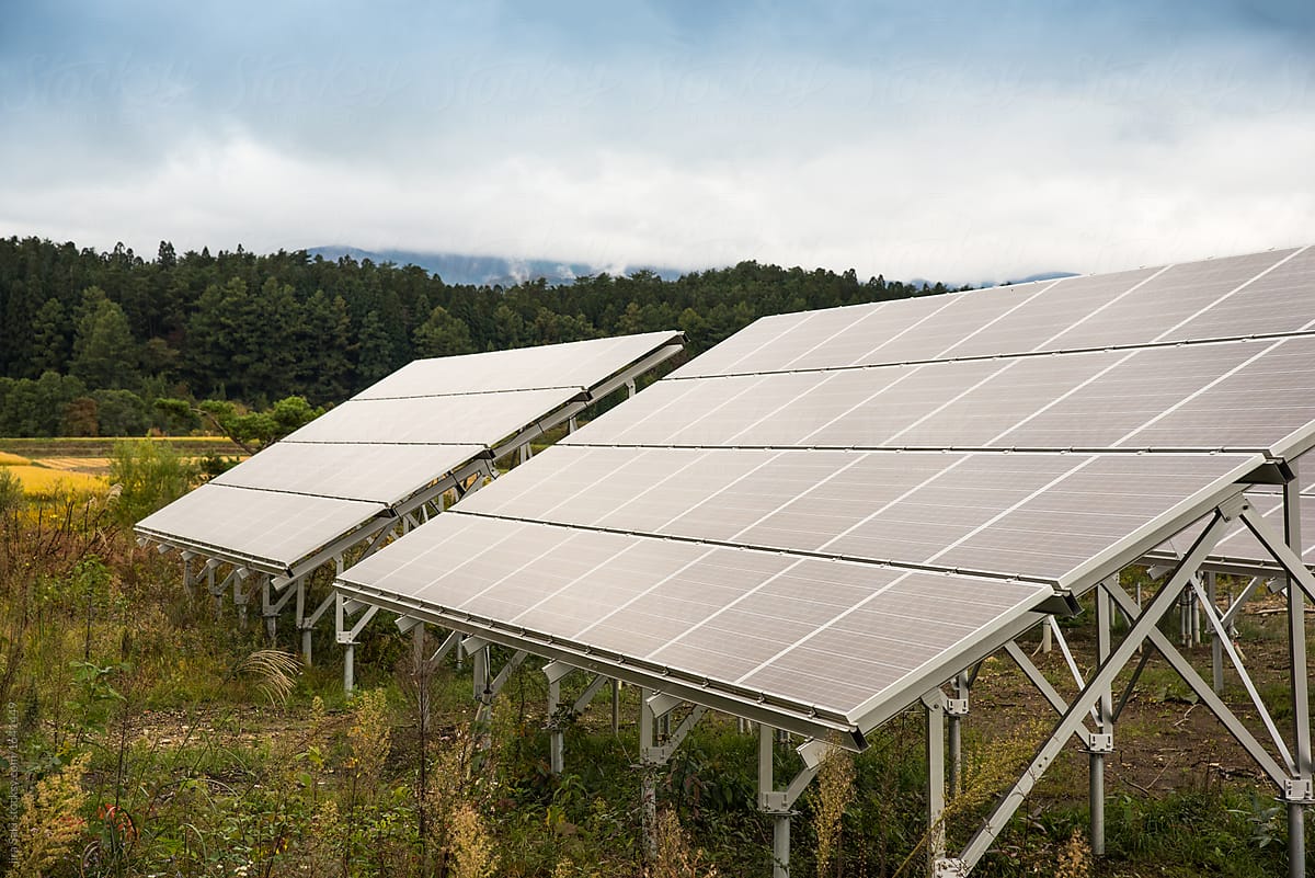 clean energy, solar cell station in the forest