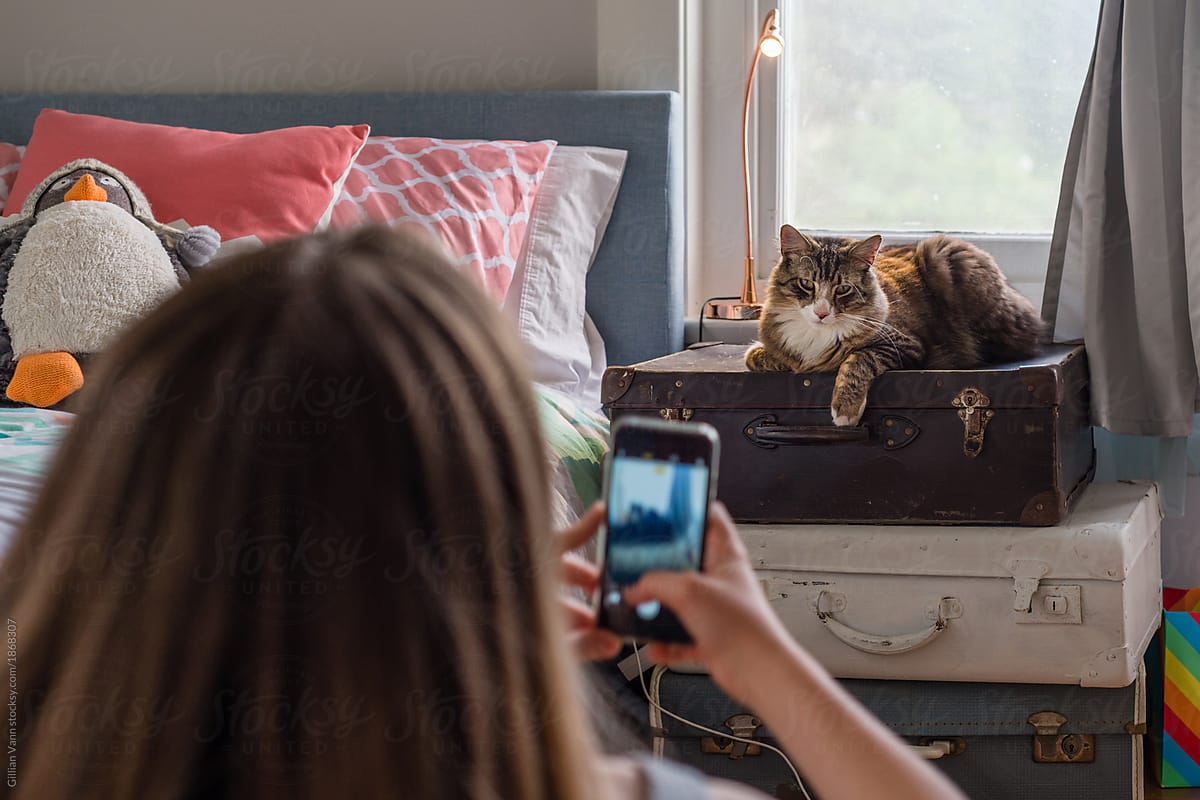 teen girl in bedroom with her cat, taking a photo